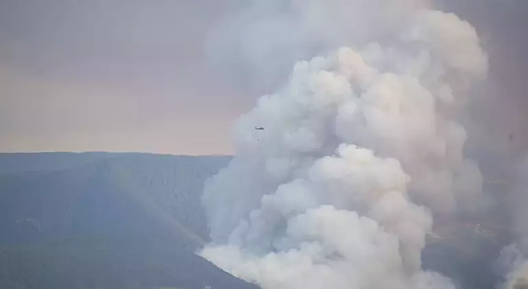 orman yangını