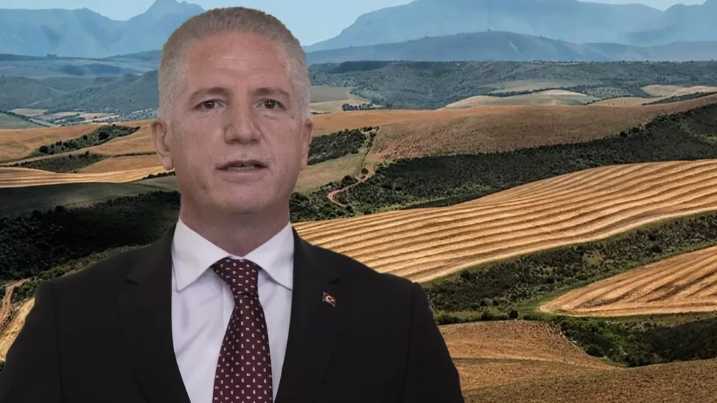 istanbul orman yangını