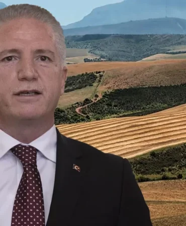 istanbul orman yangını