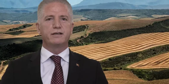 İstanbul’da Orman Yangınlarına Karşı Yeni Tedbir Alındı