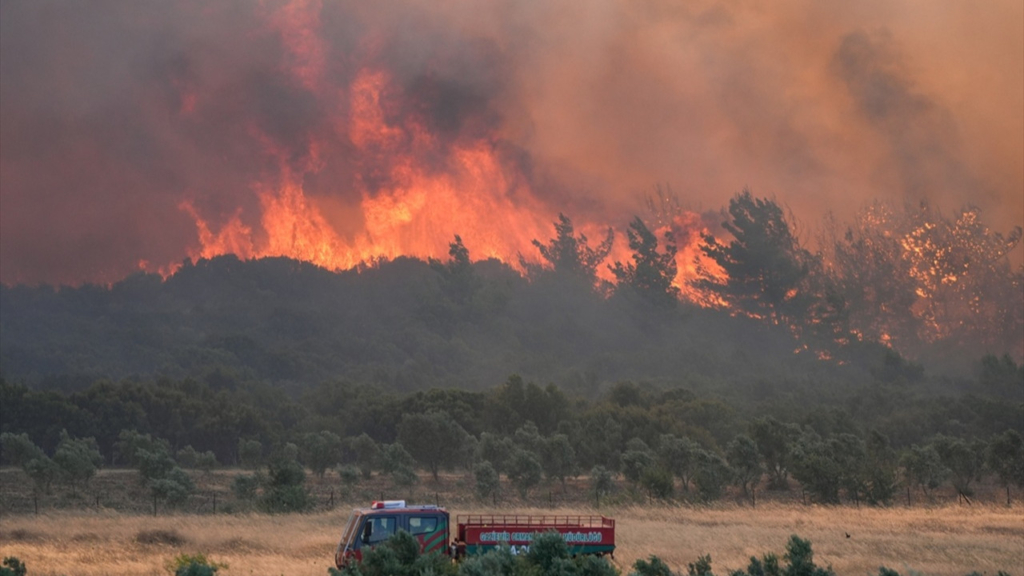 izmir yangın
