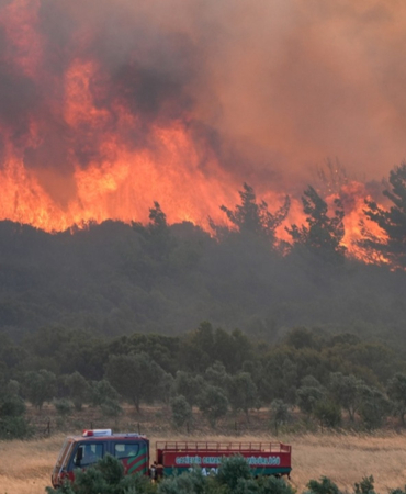 izmir yangın