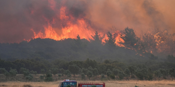 İzmir’deki Yangında Orman İşçisi Şehit Oldu