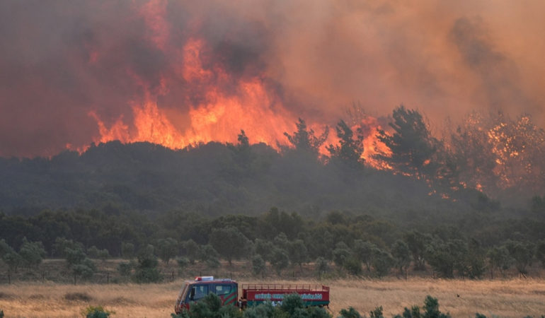 izmir yangın