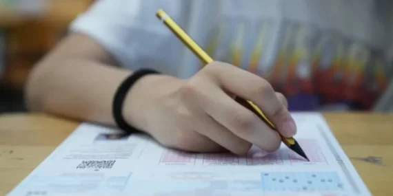 LGS Sonuçları Açıklandı! Tercih Süreci 14 Temmuz’da Başlıyor