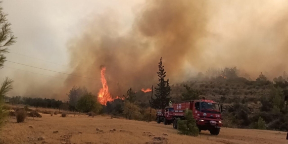Türkiye’nin Güneyinde Orman Yangınları Alarm Veriyor