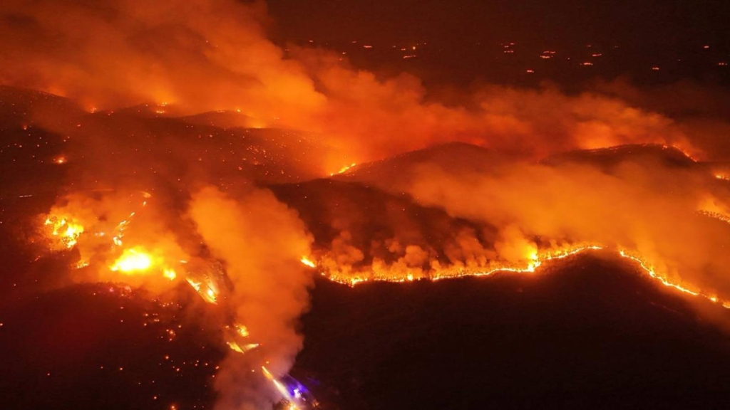 orman yangını bursa