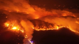 orman yangını bursa