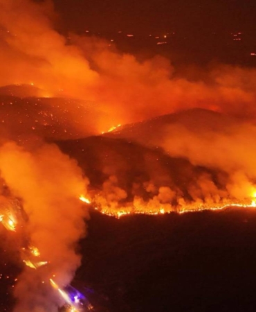 orman yangını bursa