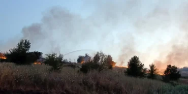 tekirdağ kömür yangın