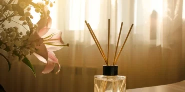 ticaret bakanlığı