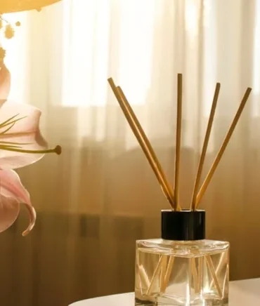 ticaret bakanlığı