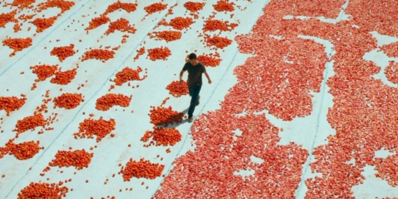 Türkiye’nin Oscar Adayı Belli Oldu: “Hemme’nin Öldüğü Günlerden Biri”