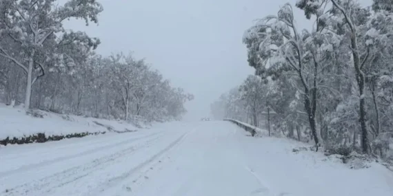 Avustralya’da 40 Yılın En Yoğun Kar Yağışı
