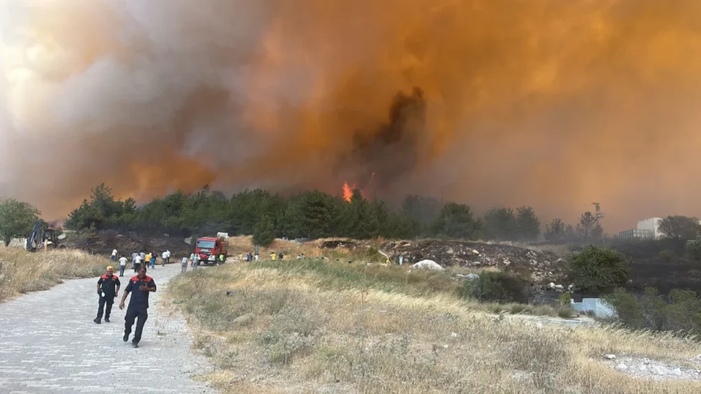 Çanakkale orman yangını