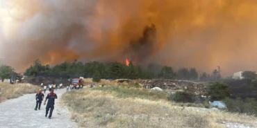 Çanakkale orman yangını
