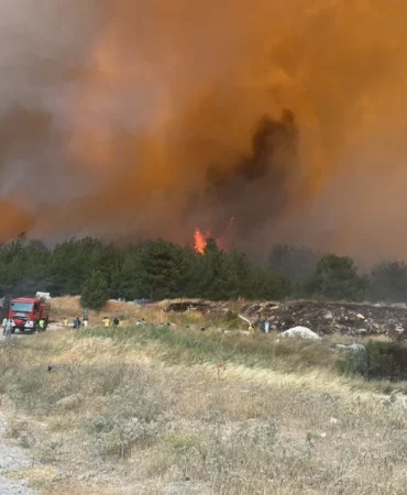 Çanakkale orman yangını