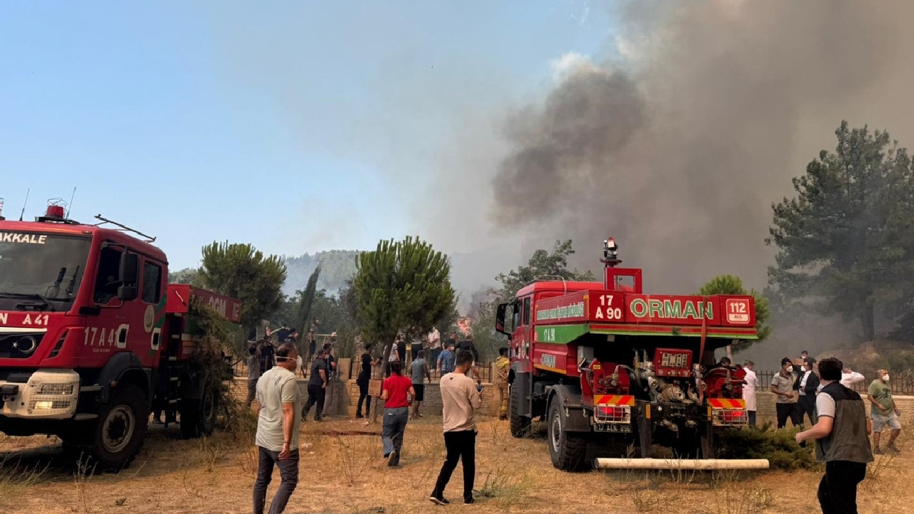 Çanakkale orman yangını