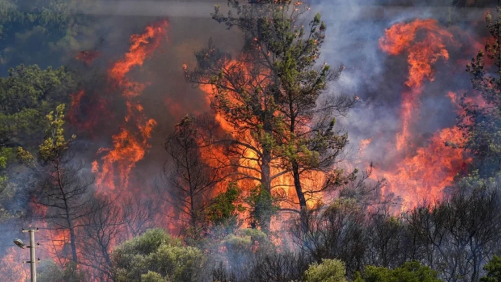 Hatay yangın