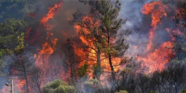 Hatay yangın
