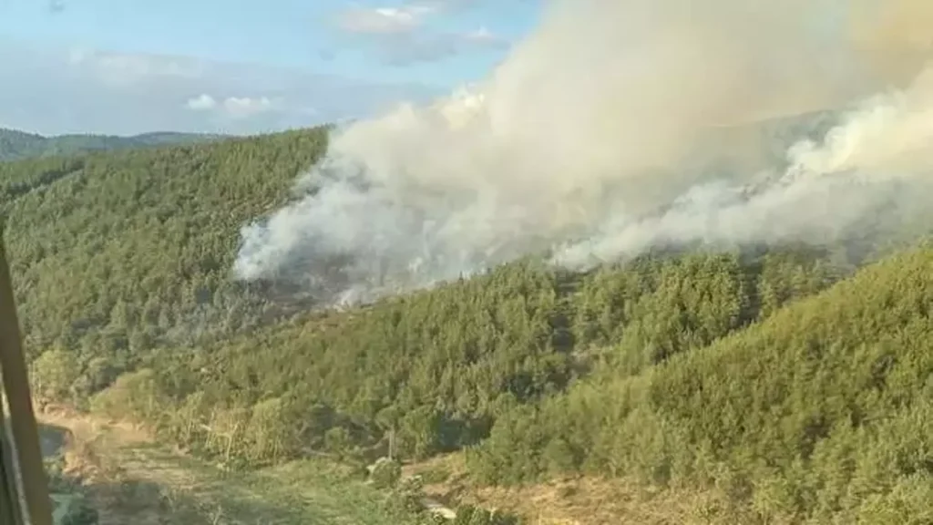 Susurluk orman yangını