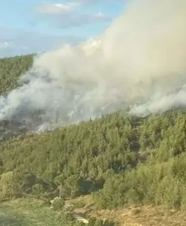 Susurluk orman yangını