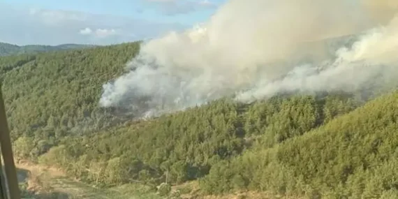 Balıkesir’in Susurluk İlçesinde Orman Yangını Başladı