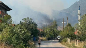 bartın orman yangını