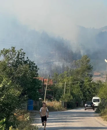 bartın orman yangını