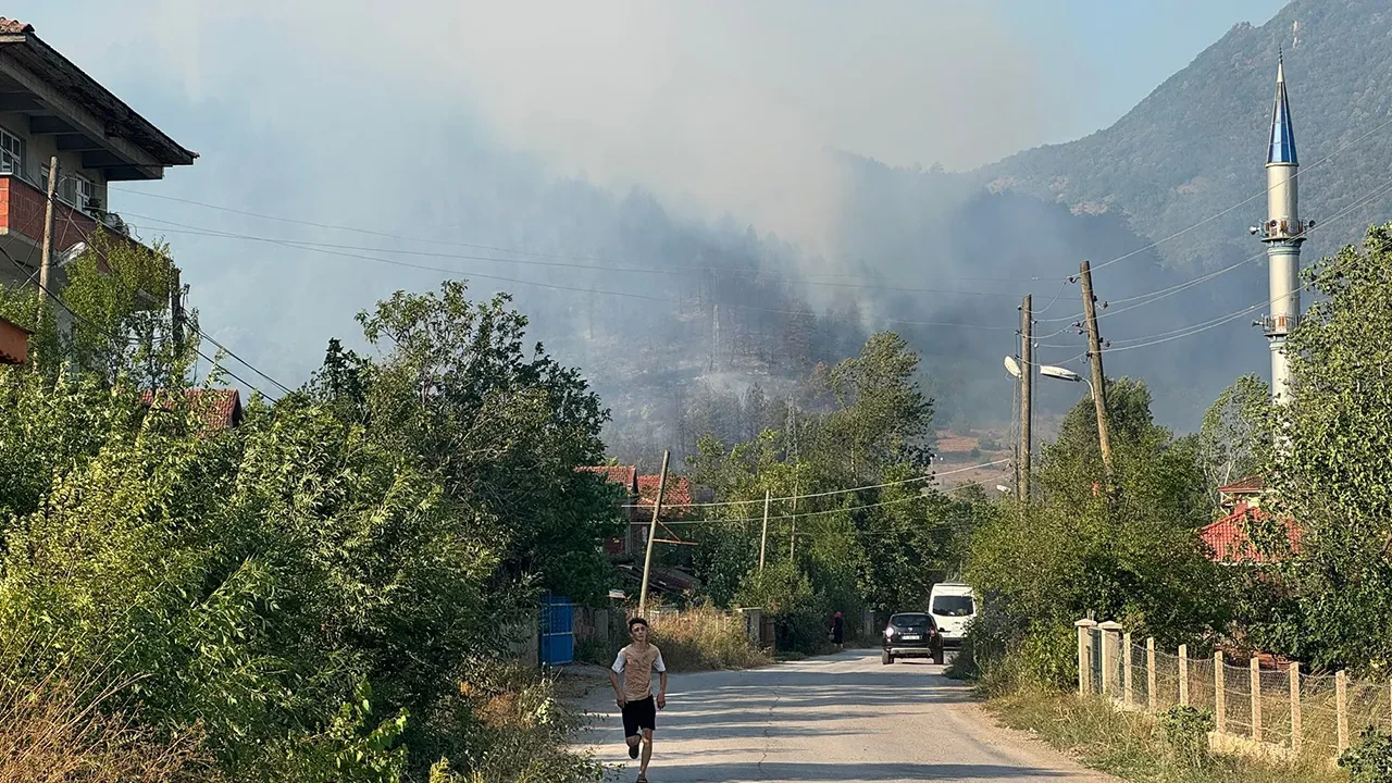 bartın orman yangını