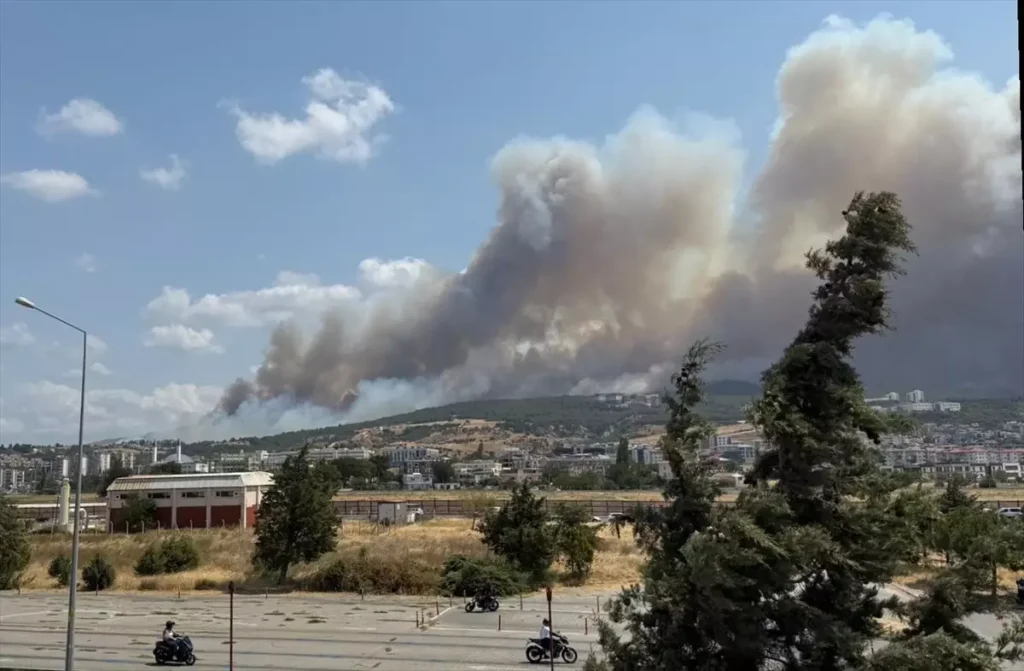 çanakkale orman yangını