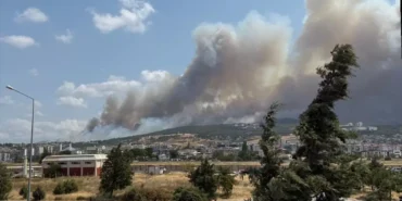 çanakkale orman yangını