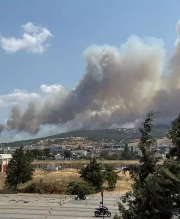 çanakkale orman yangını