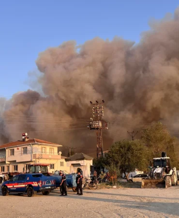 çanakkale orman yangını