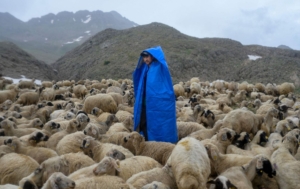 çoban