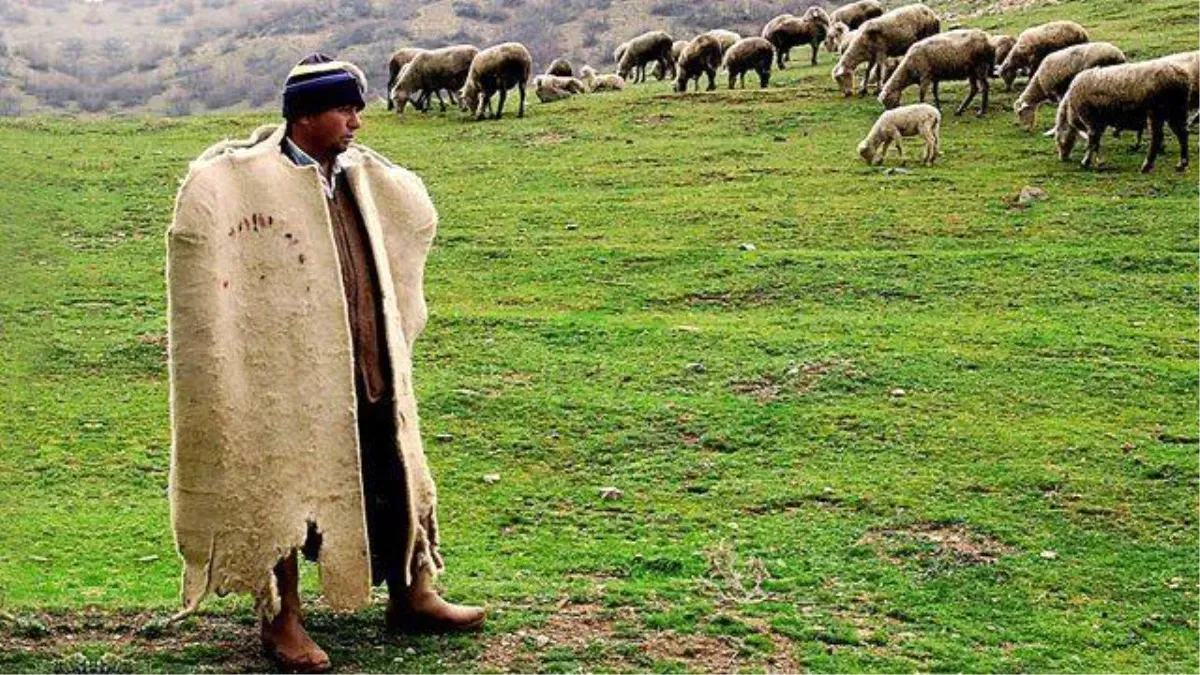 çoban