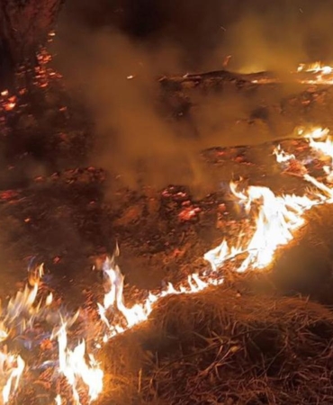 denizli orman yangını