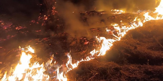Pamukkale’de Orman Yangınına Havadan ve Karadan Müdahale