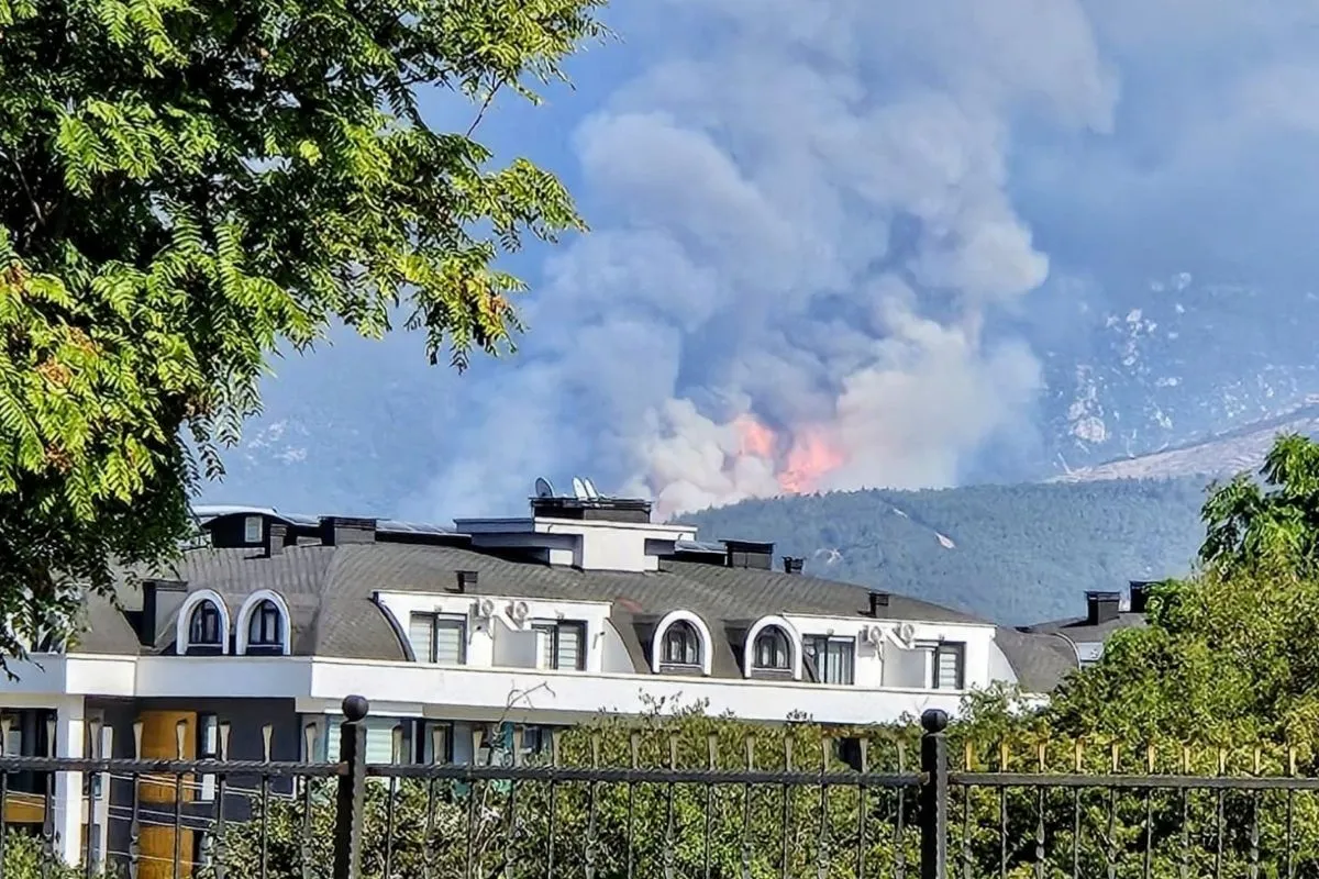 denizli orman yangını