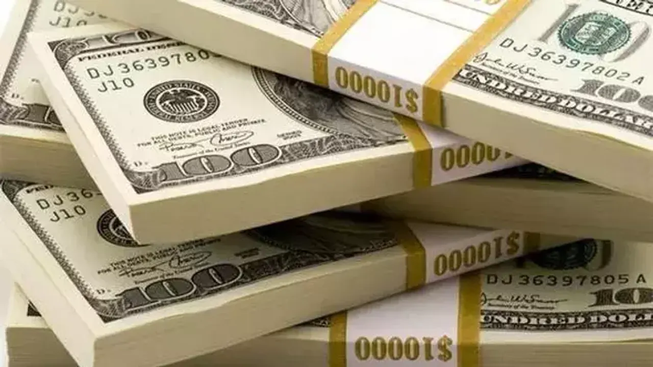 dolar tl
