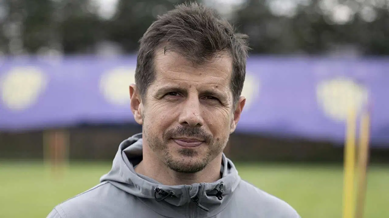 emre belözoğlu