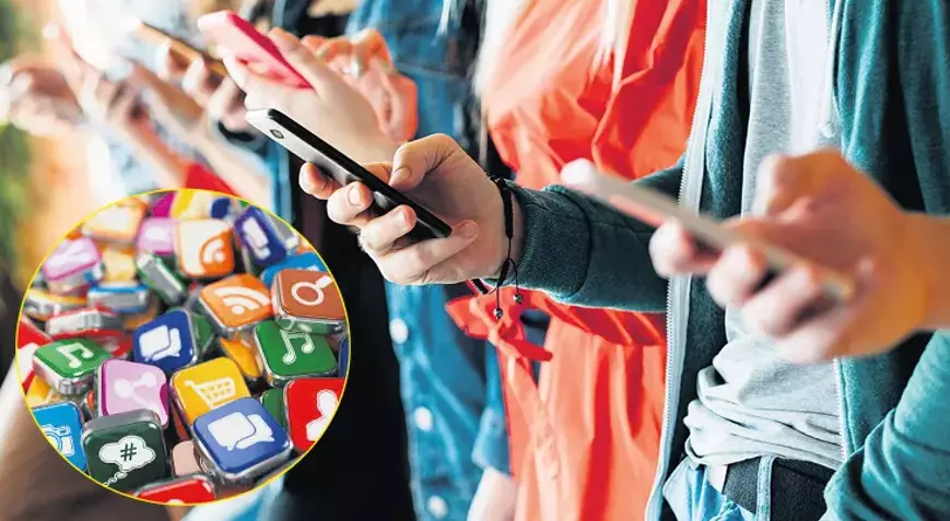 internet kullanımı TÜİK