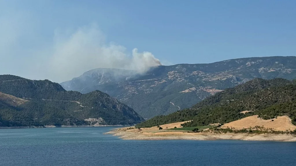 sinop orman yangını