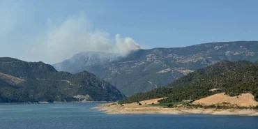 sinop orman yangını