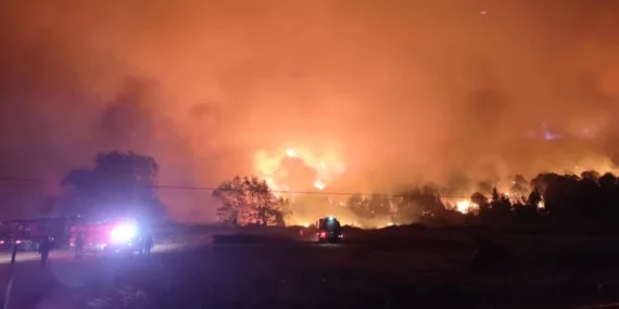 Bursa Karacabey’de Orman Yangını Paniğe Neden Oldu