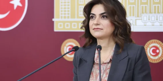 DEM Parti’den Meclis’e Öcalan Çağrısı, “Kapılar Açılmalı, Meclis’te Konuşsun”