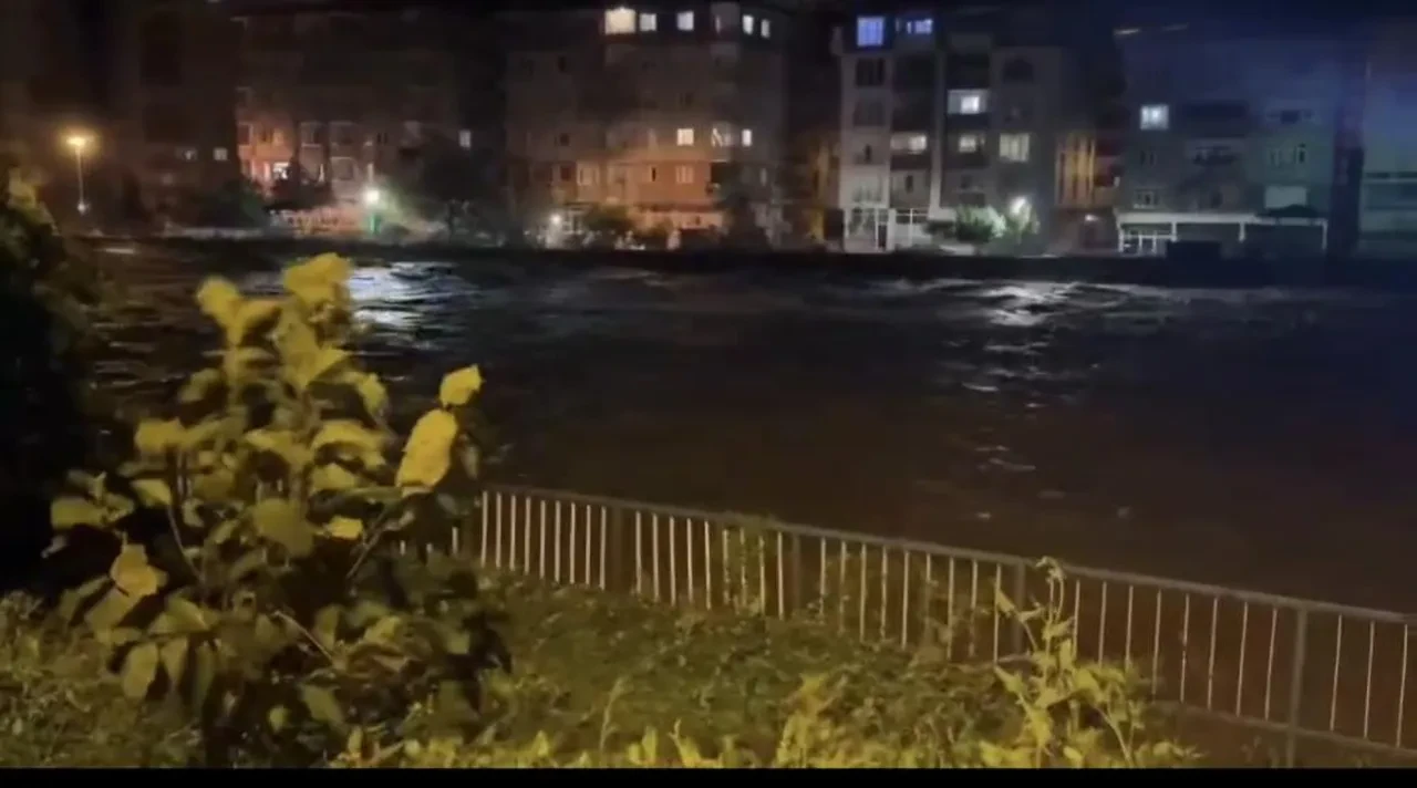 Rize sel