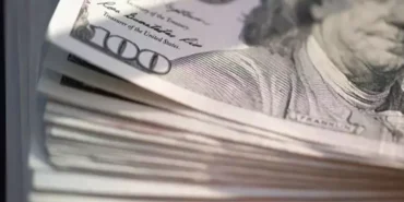 merkez bankası döviz