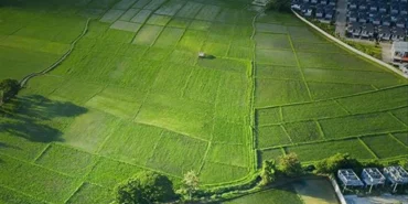 tarım arazileri