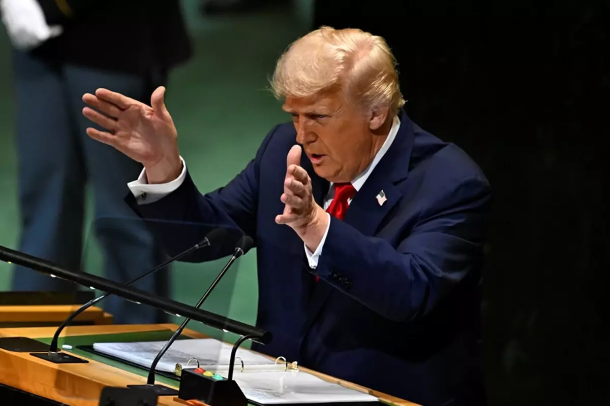 federal hükümet